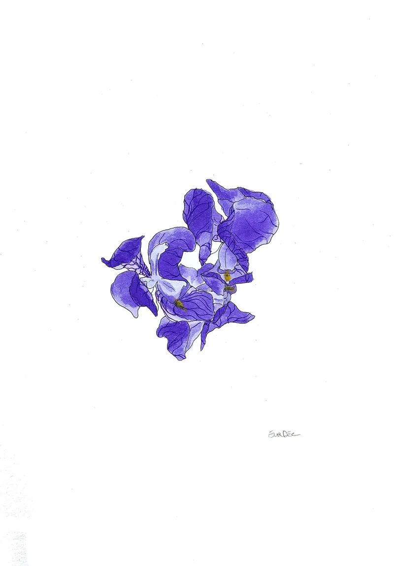 Work by Eva Dmitrenko